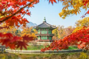韓国コスメの新作2025夏におすすめの商品は？