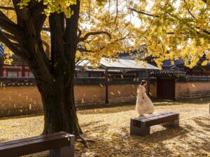 韓国コスメの新作2025春はどんなアイテムが登場するの？