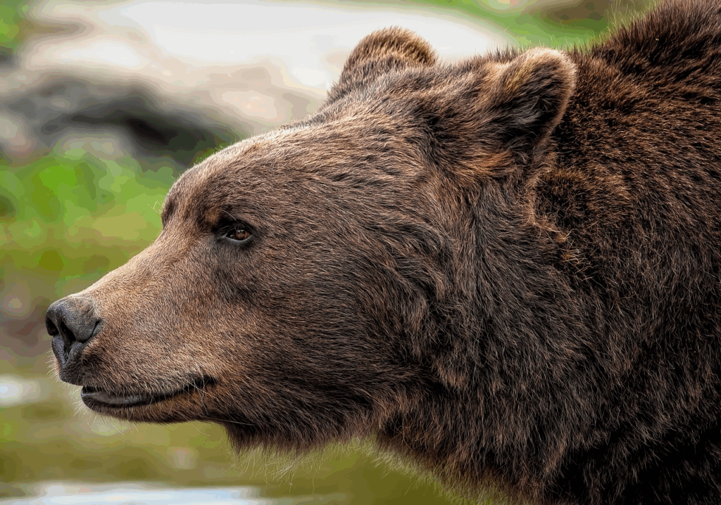 韓国のコンシーラーでおすすめのクマ対策アイテムは？
